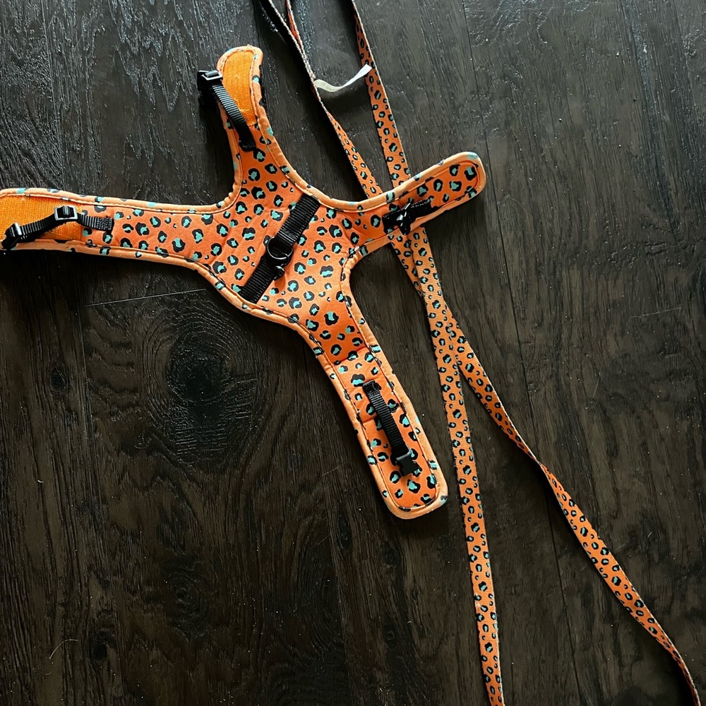 Leopard Print Dog Harness and Leash Set